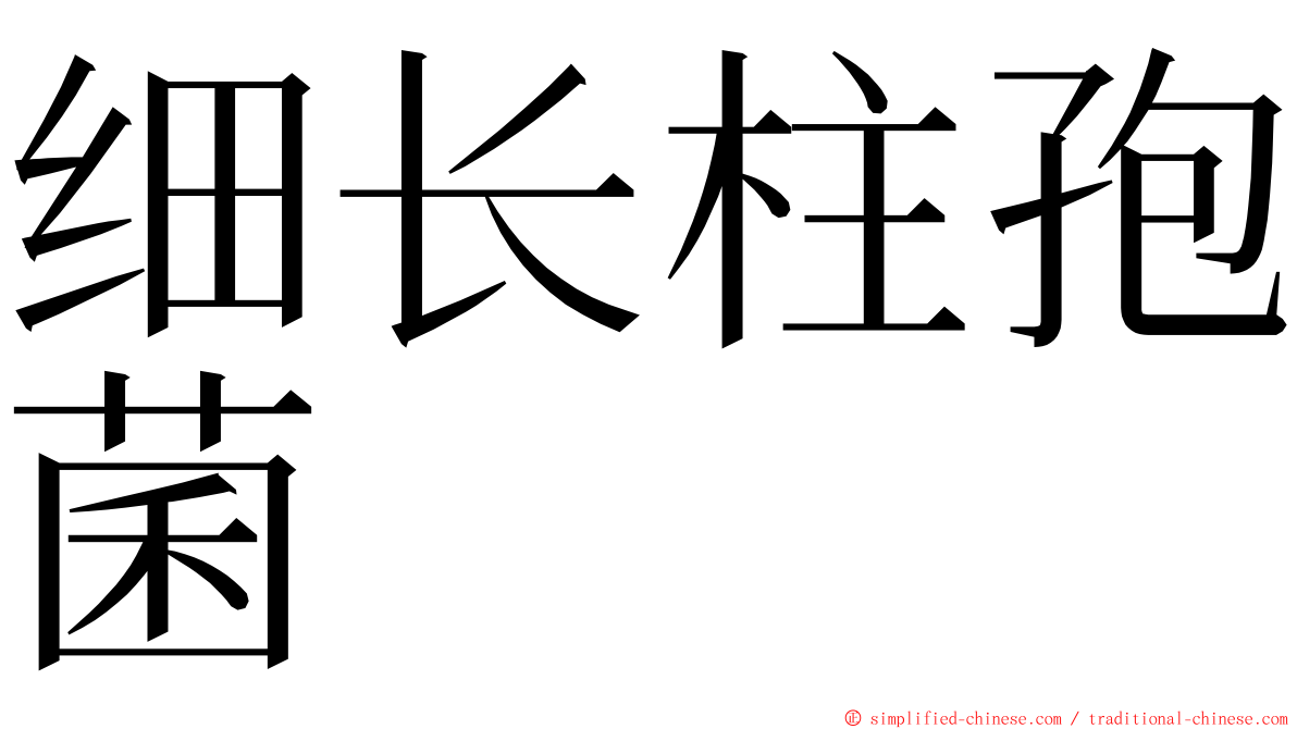 细长柱孢菌 ming font