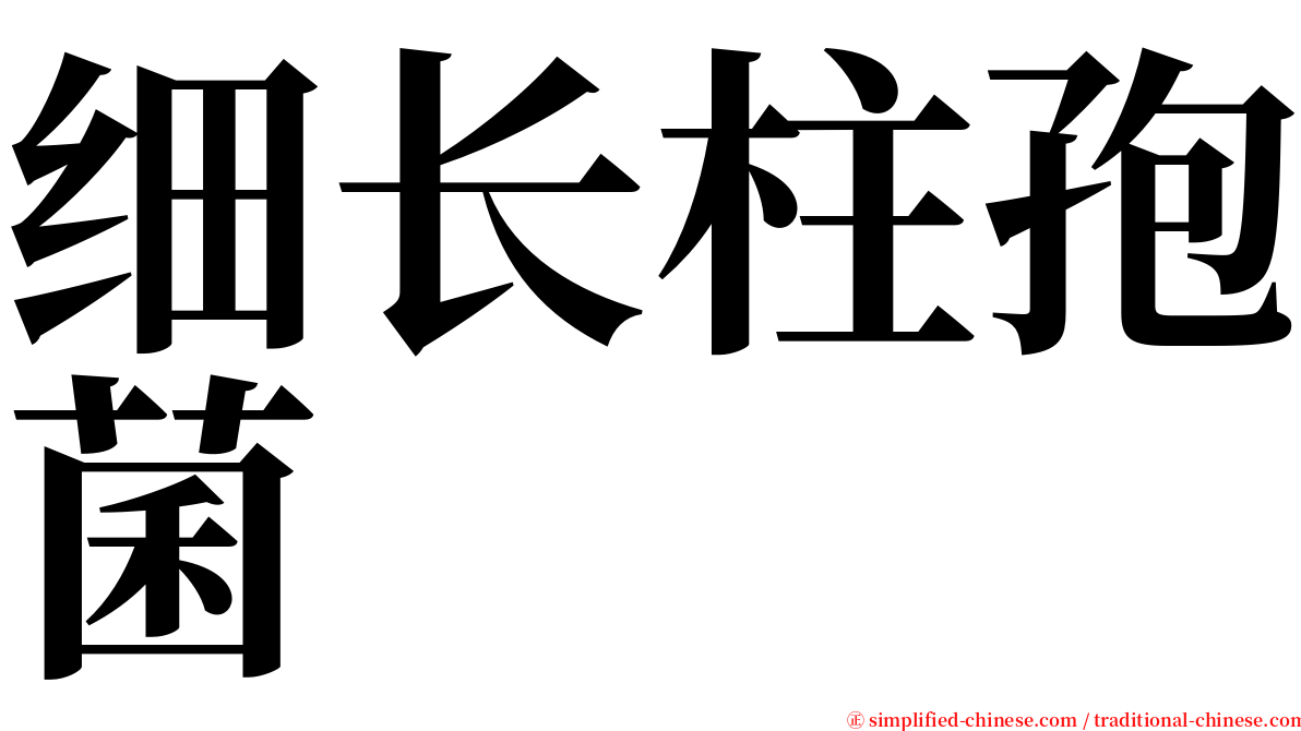 细长柱孢菌 serif font