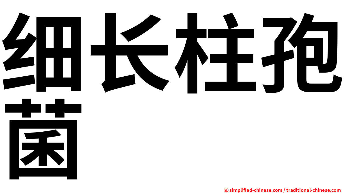 细长柱孢菌