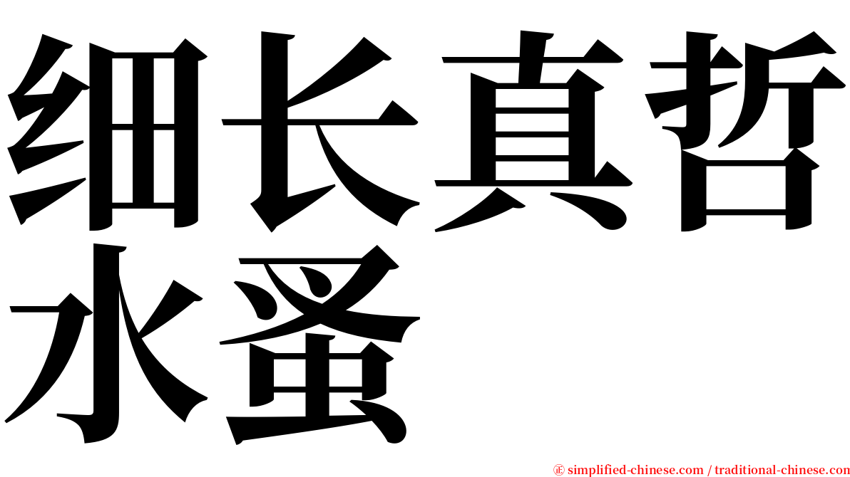 细长真哲水蚤 serif font