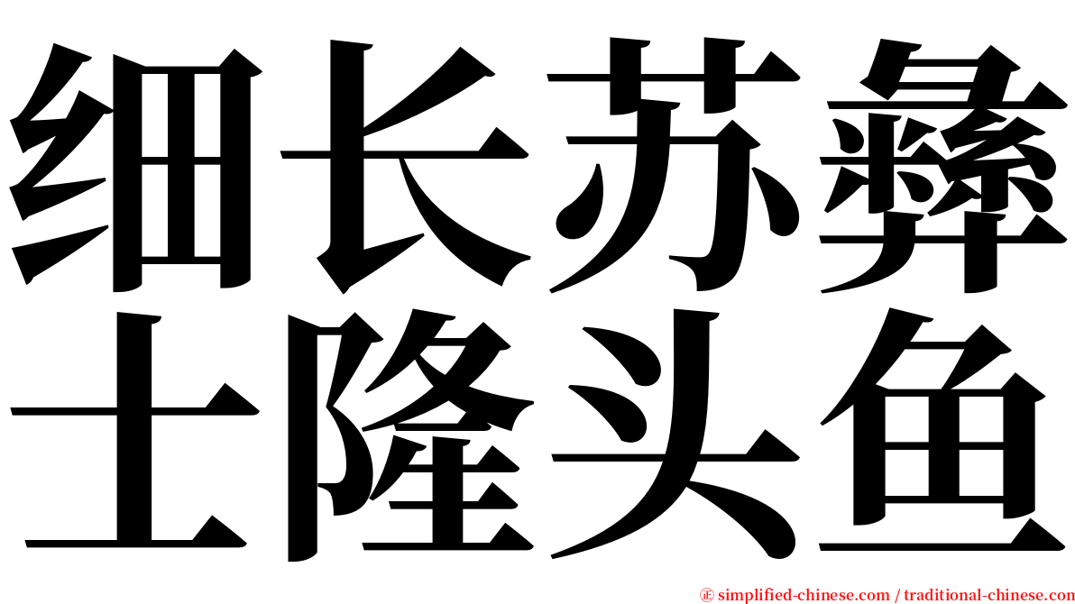 细长苏彝士隆头鱼 serif font