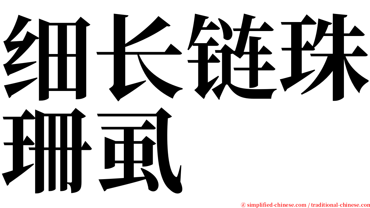 细长链珠珊虱 serif font