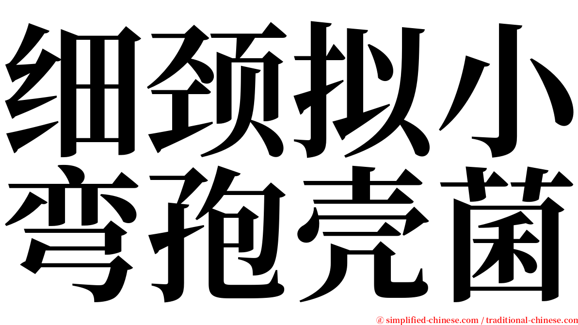 细颈拟小弯孢壳菌 serif font