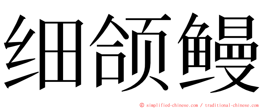 细颌鳗 ming font