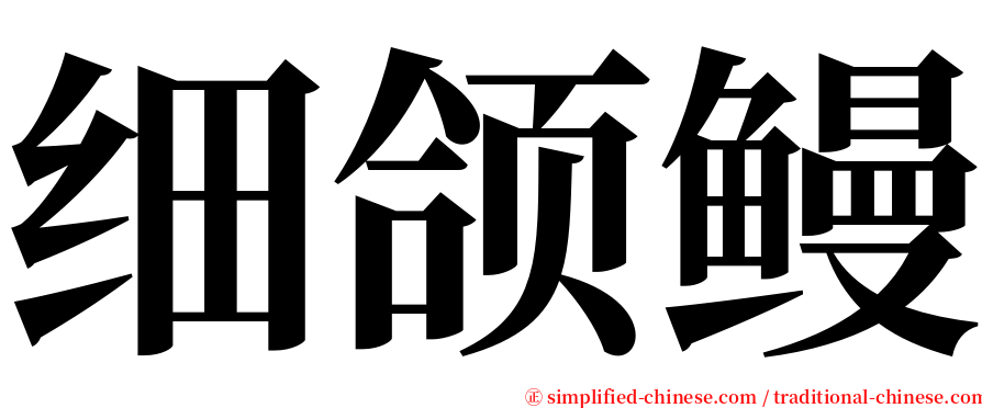 细颌鳗 serif font