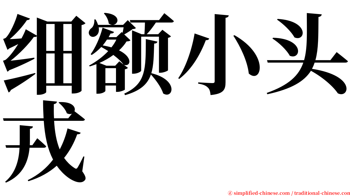 细额小头戎 serif font