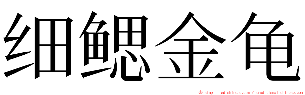 细鳃金龟 ming font