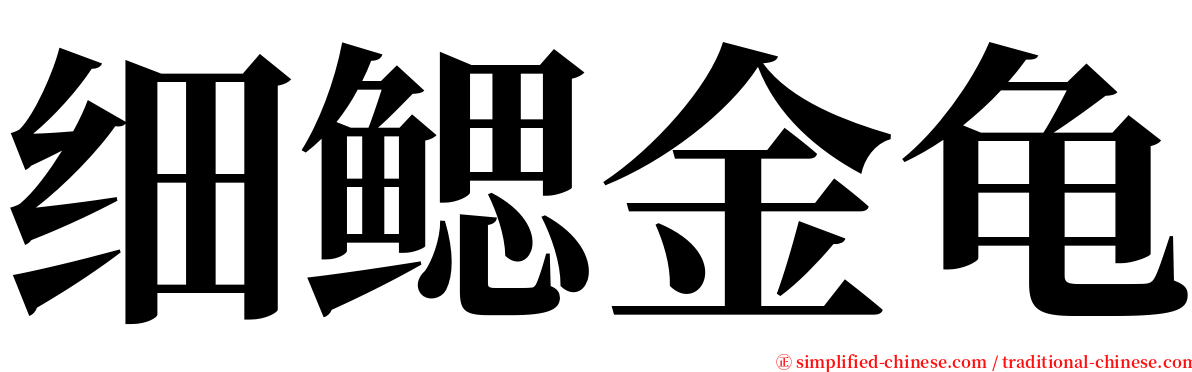 细鳃金龟 serif font