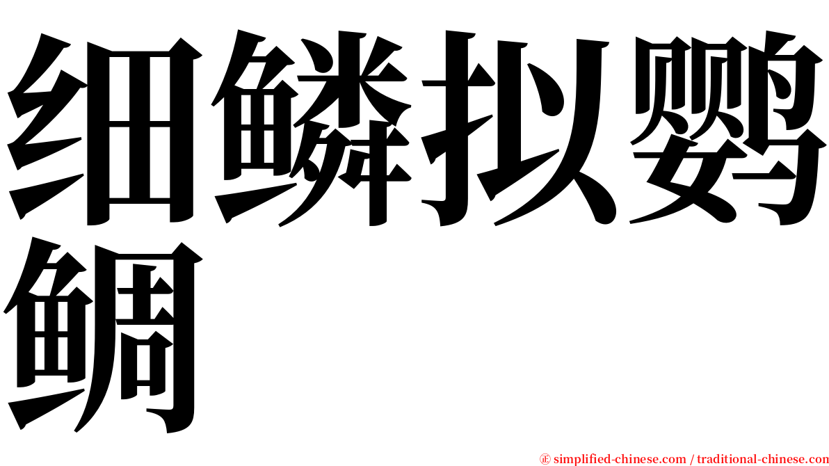 细鳞拟鹦鲷 serif font