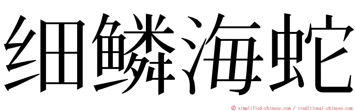 细鳞海蛇 ming font