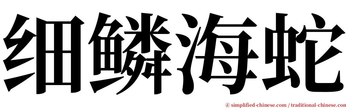 细鳞海蛇 serif font