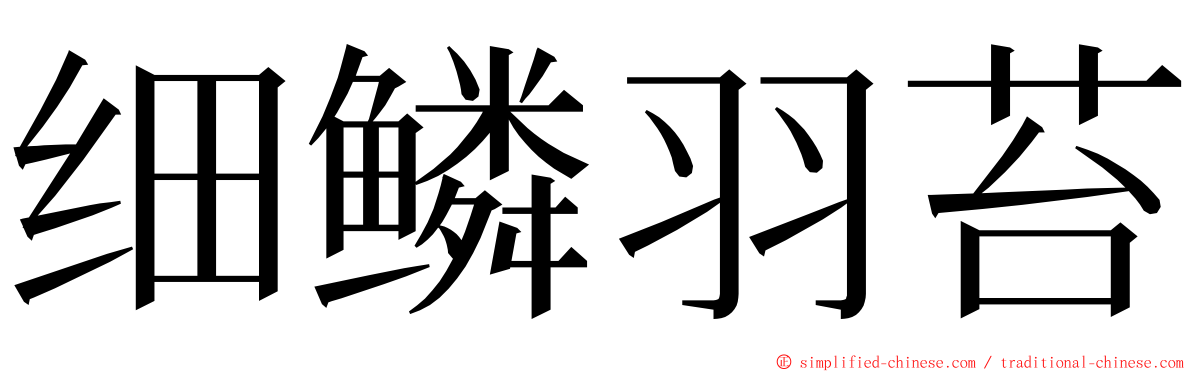 细鳞羽苔 ming font