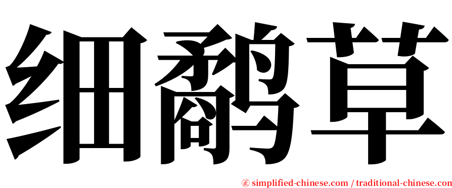 细鹬草 serif font