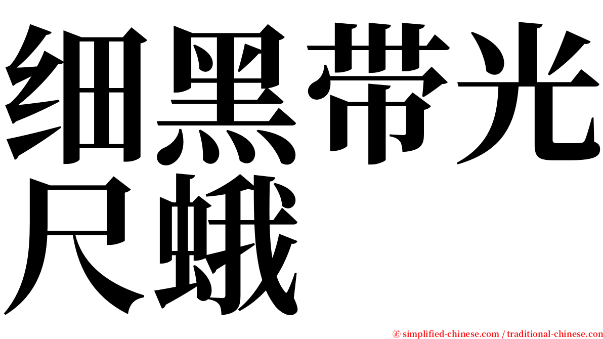 细黑带光尺蛾 serif font