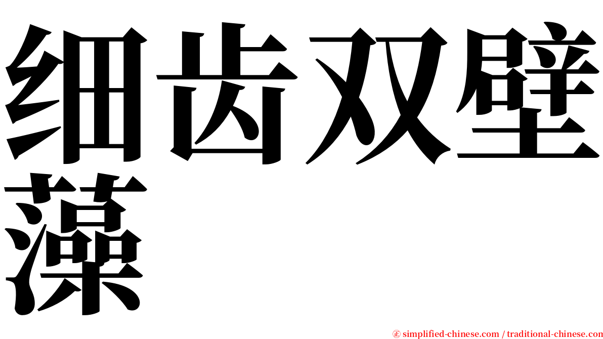 细齿双壁藻 serif font