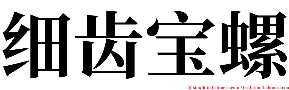 细齿宝螺 serif font