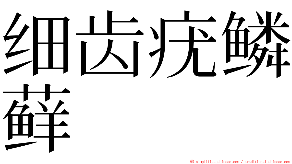 细齿疣鳞藓 ming font