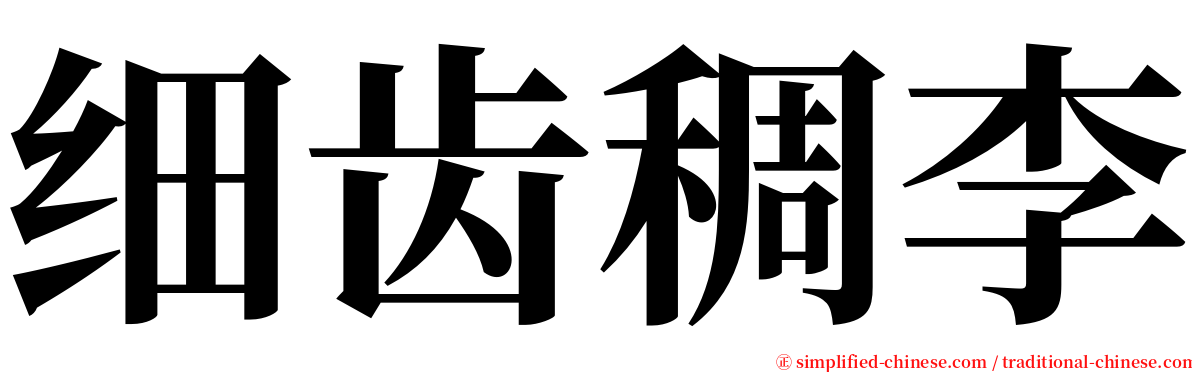 细齿稠李 serif font