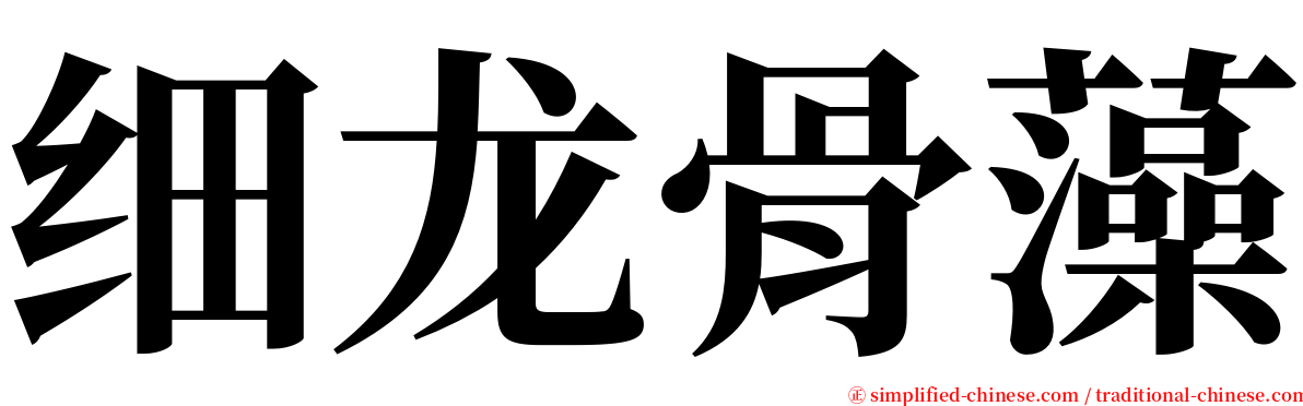 细龙骨藻 serif font