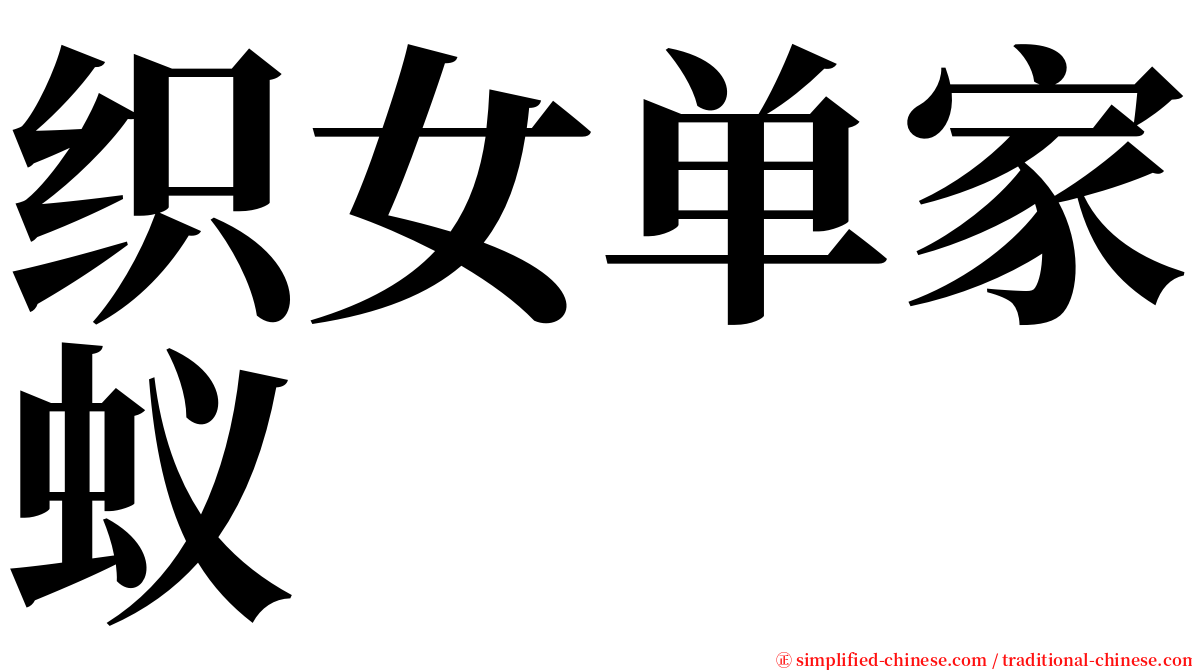 织女单家蚁 serif font