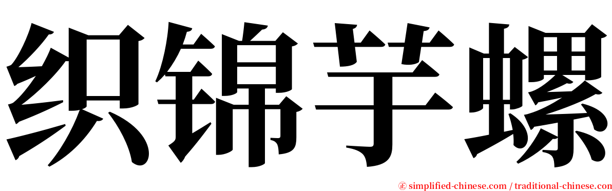 织锦芋螺 serif font