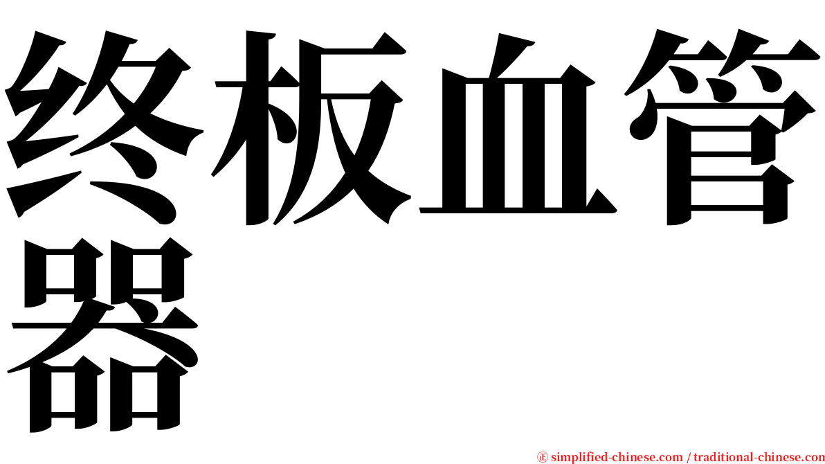 终板血管器 serif font