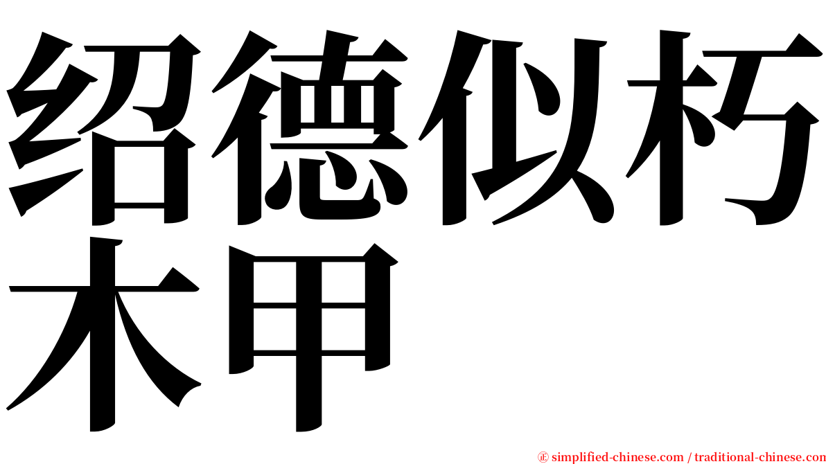 绍德似朽木甲 serif font