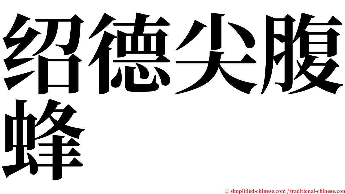 绍德尖腹蜂 serif font