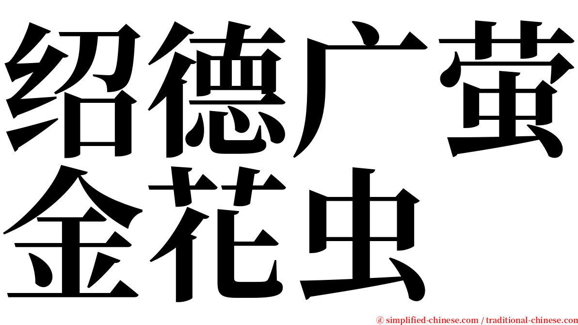 绍德广萤金花虫 serif font