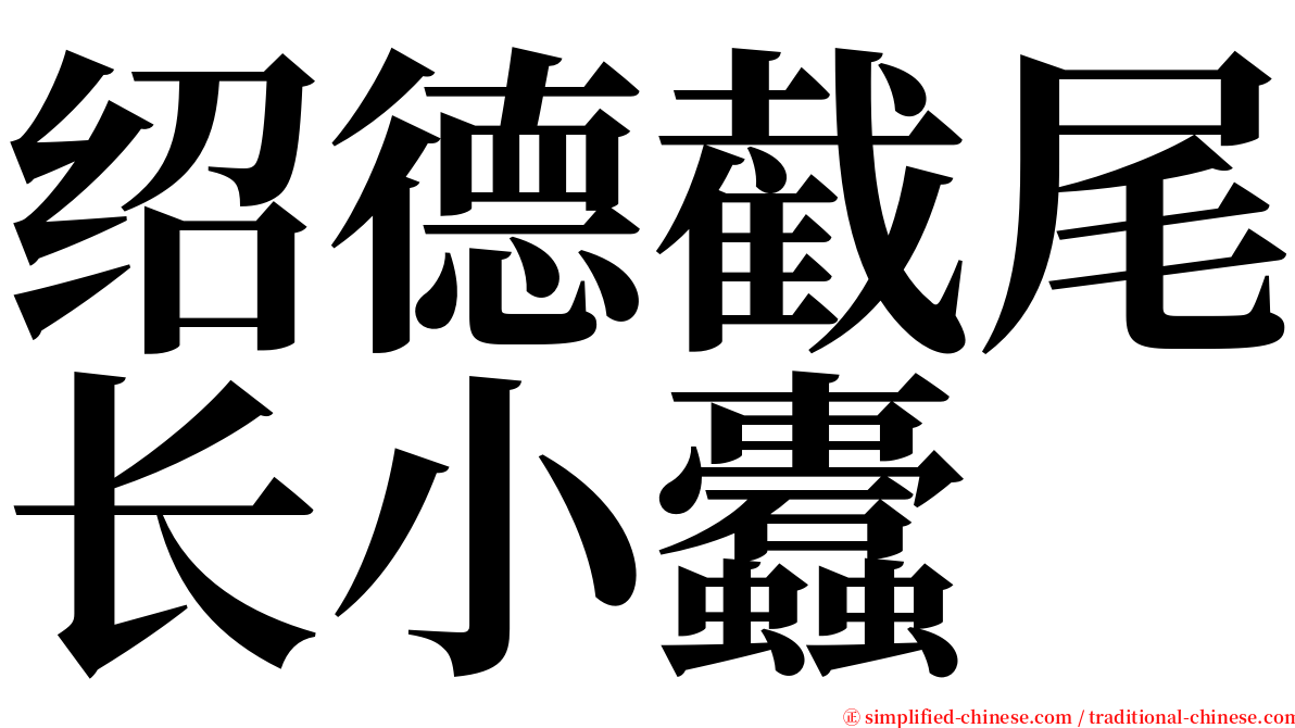 绍德截尾长小蠹 serif font