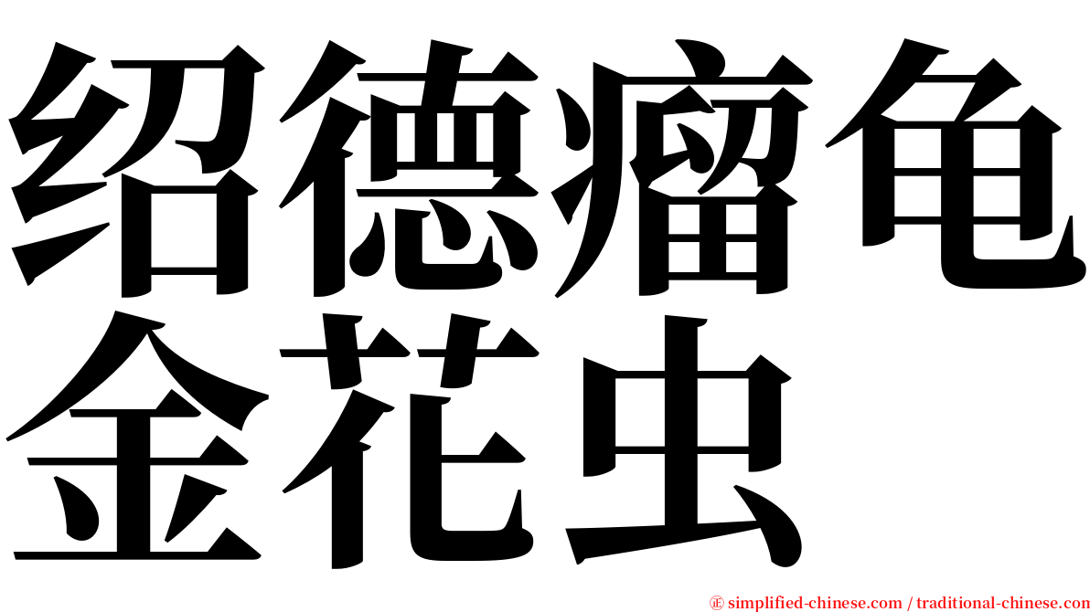 绍德瘤龟金花虫 serif font