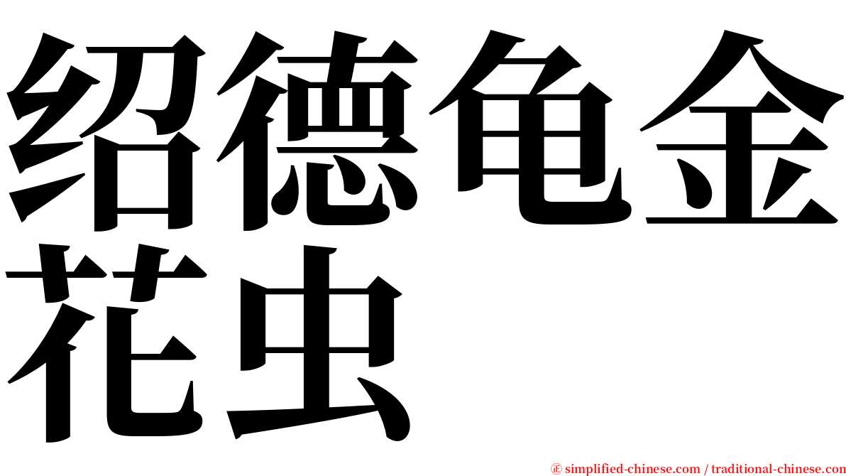 绍德龟金花虫 serif font