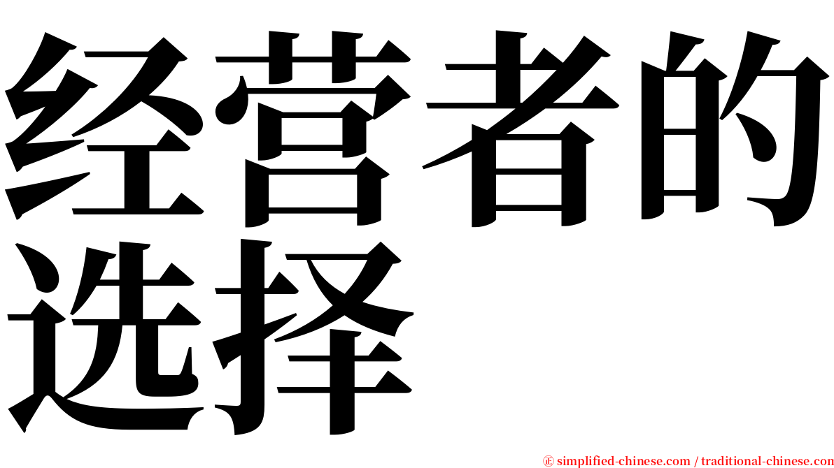 经营者的选择 serif font