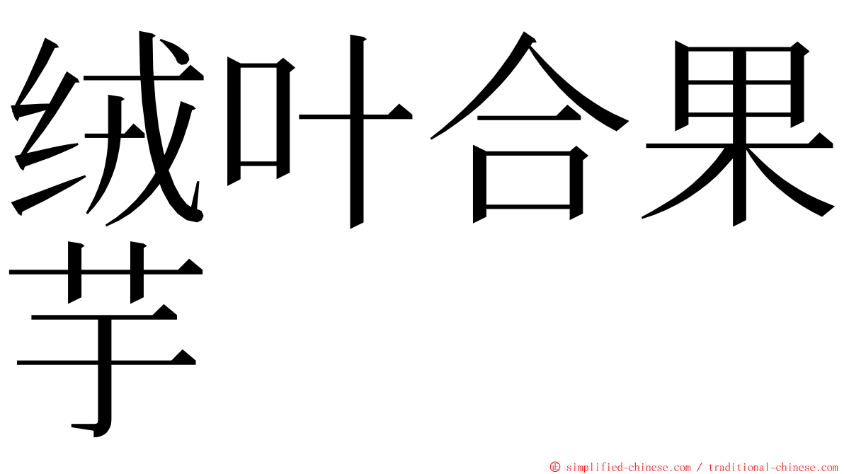 绒叶合果芋 ming font