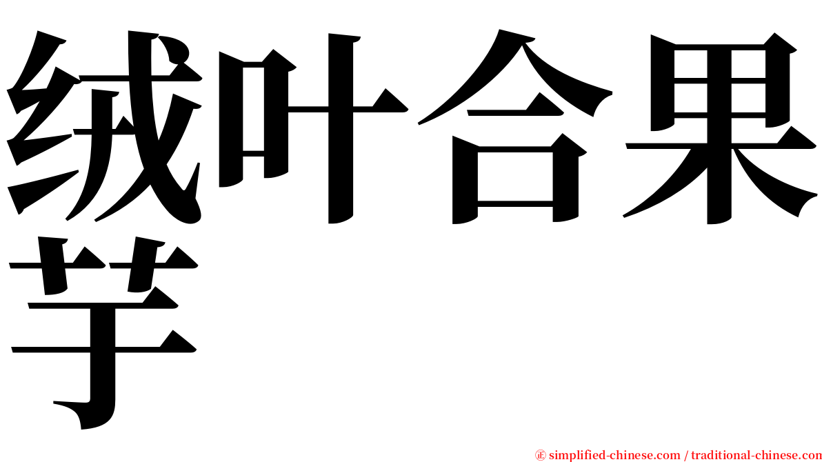 绒叶合果芋 serif font