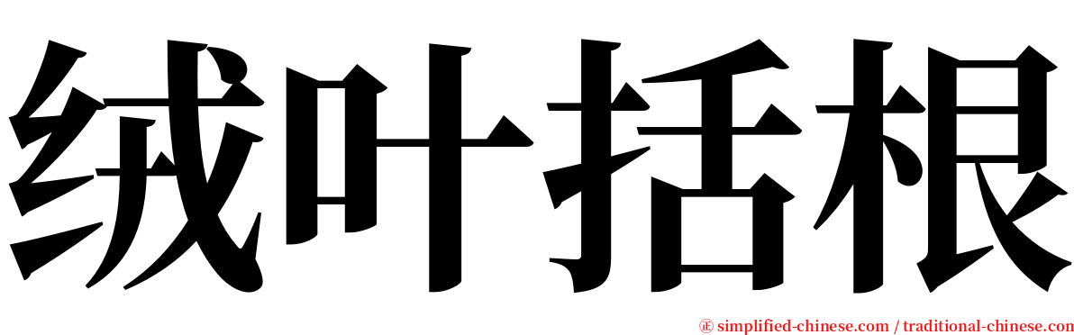 绒叶括根 serif font