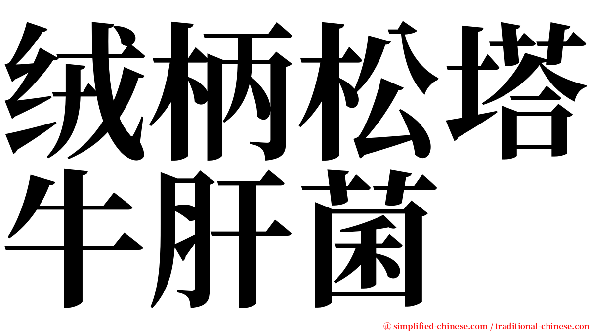 绒柄松塔牛肝菌 serif font