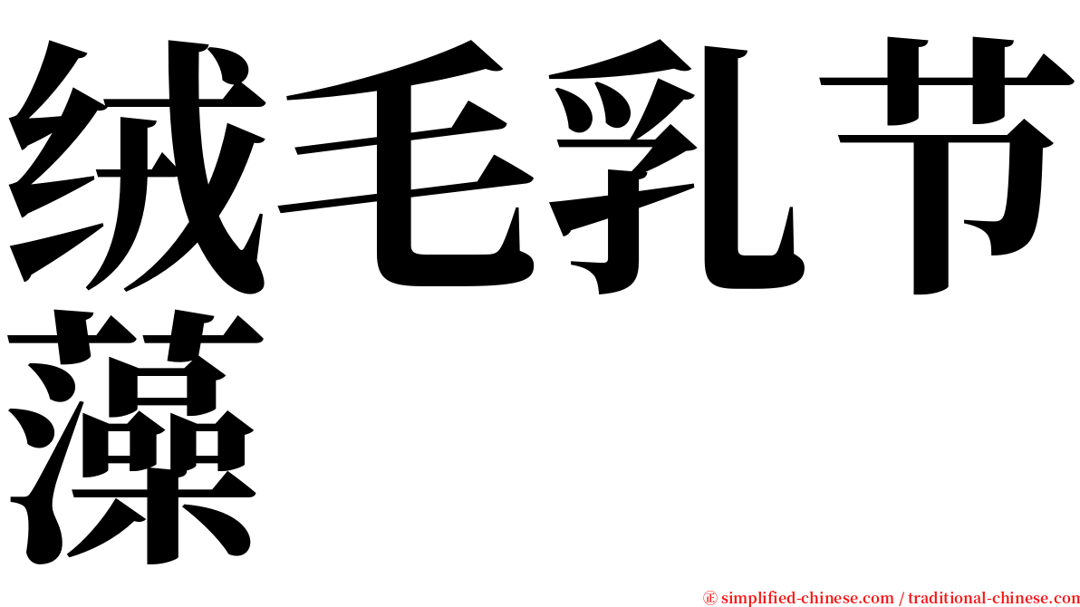 绒毛乳节藻 serif font