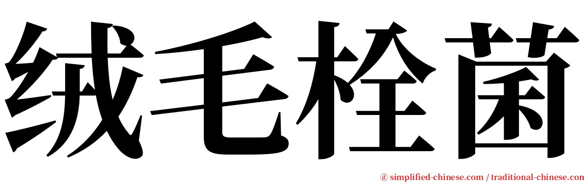 绒毛栓菌 serif font