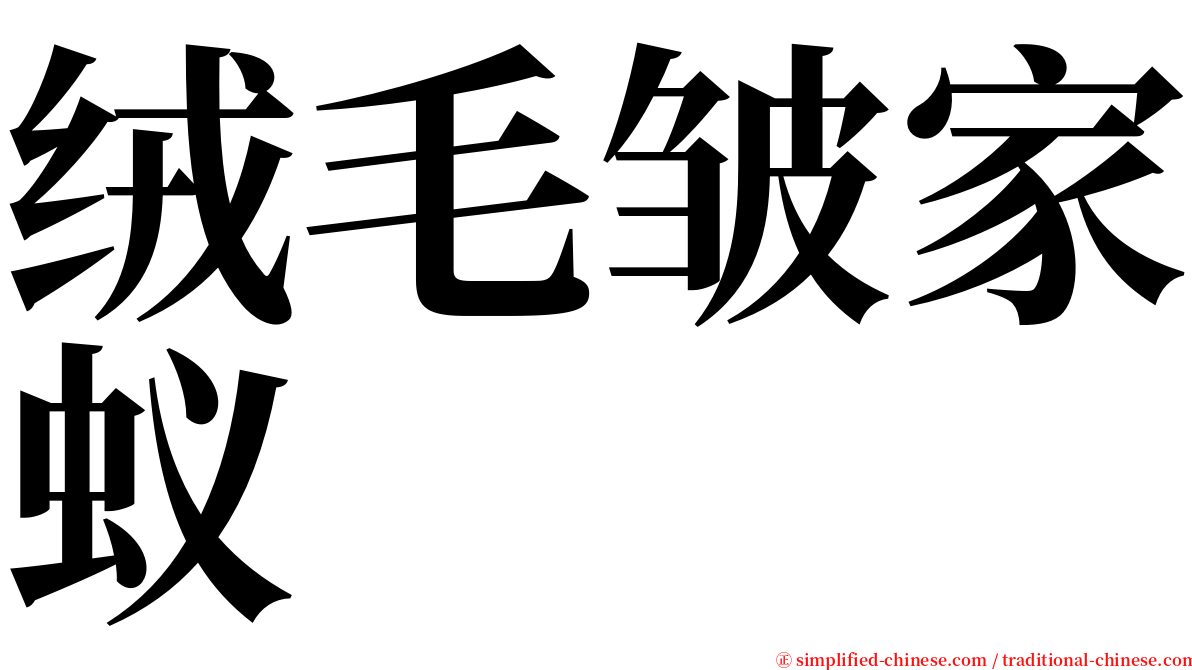 绒毛皱家蚁 serif font