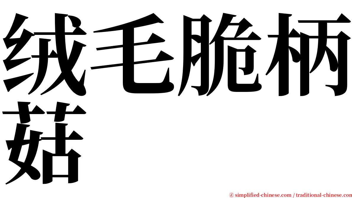 绒毛脆柄菇 serif font