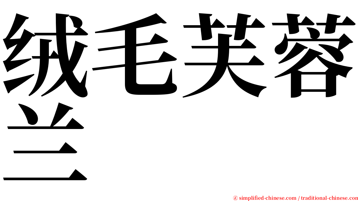 绒毛芙蓉兰 serif font