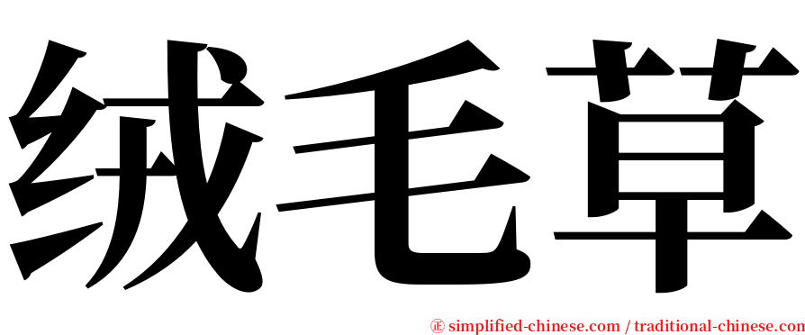 绒毛草 serif font