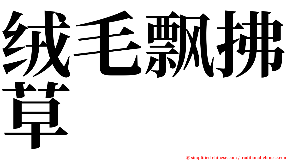 绒毛飘拂草 serif font