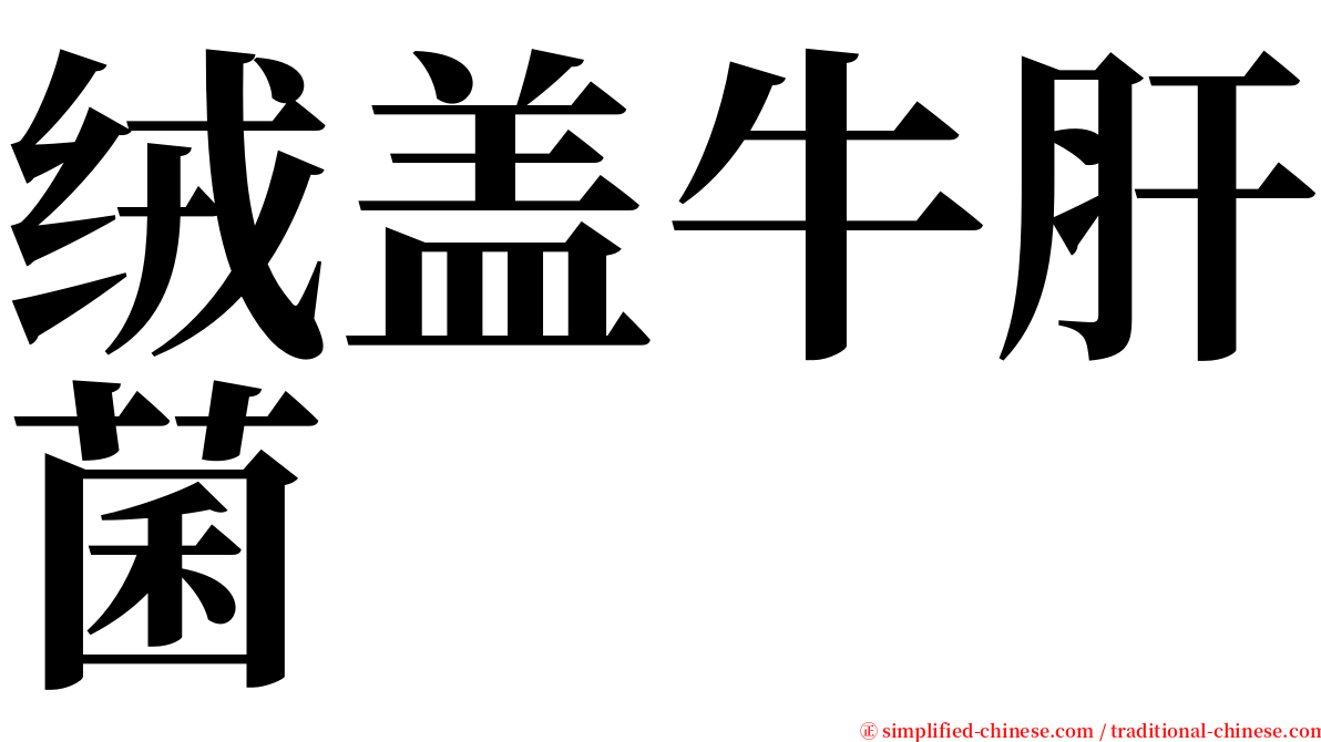 绒盖牛肝菌 serif font