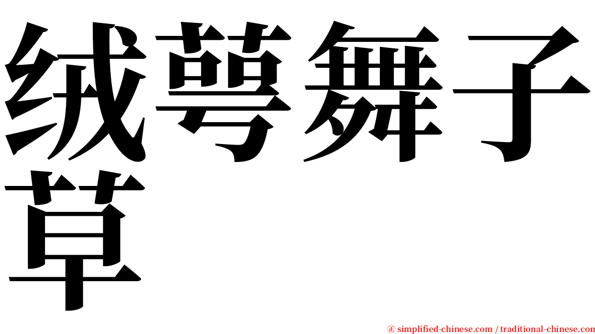 绒萼舞子草 serif font