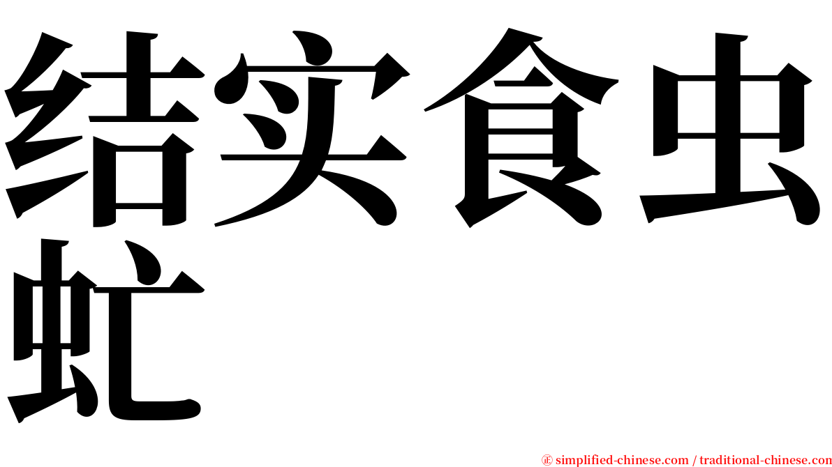 结实食虫虻 serif font