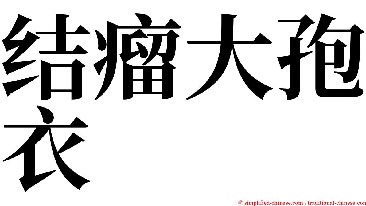 结瘤大孢衣 serif font