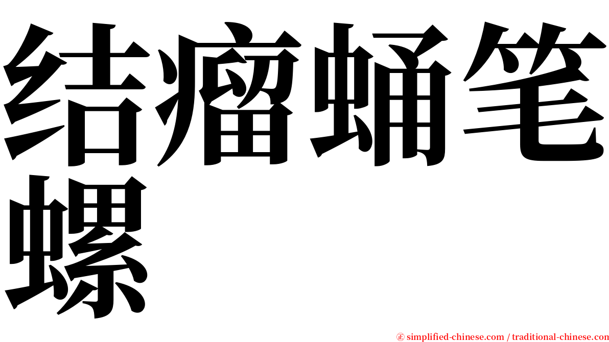 结瘤蛹笔螺 serif font