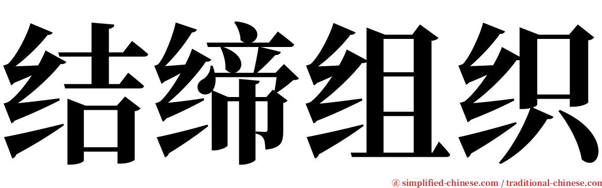 结缔组织 serif font